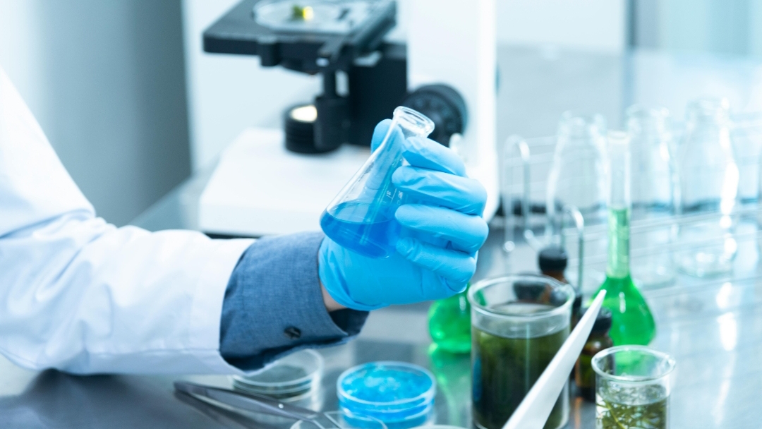 Choose DMLT at IPHH Delhi for quality education, practical exposure and excellent career opportunities in medical laboratory technology.